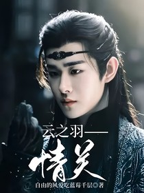 云之羽——情关