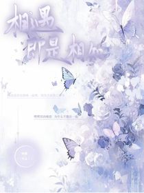 相遇即是相知