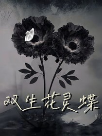 TNT：双生花灵蝶