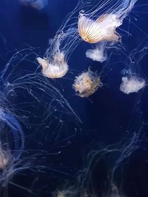 霧散夢沉