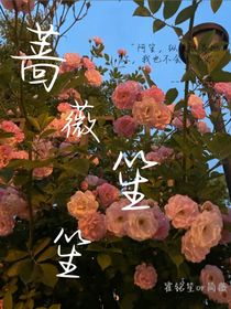 蔷薇笙笙