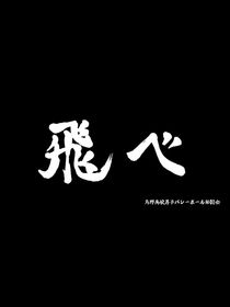 关于排球少年
