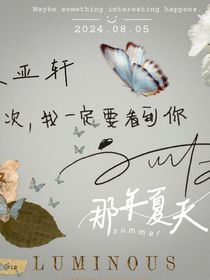 那年夏天的小文