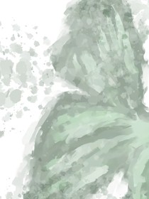 Y同学