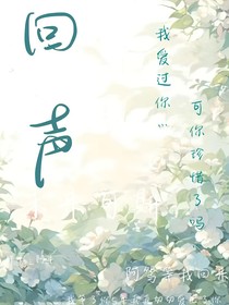 回聲……