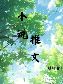 小说理文