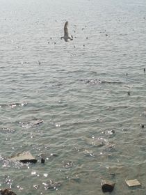 墨流合污