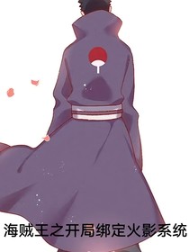 海贼王之开局绑定火影系统