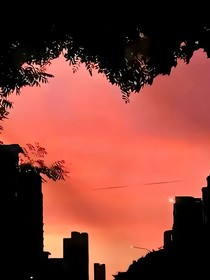 星空与你：年下太香了