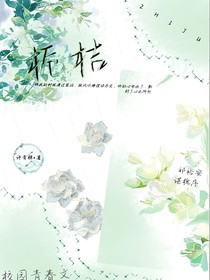 栀桔
