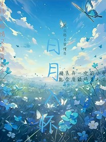 日月入怀