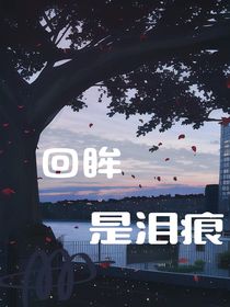 虐文回眸是泪痕