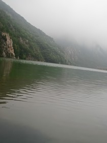 庇佑龍國