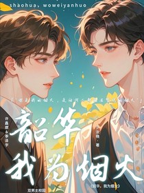 韶华，我为烟火