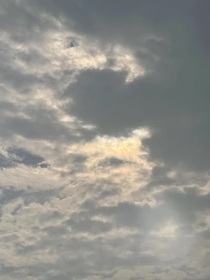 我的爱妻p