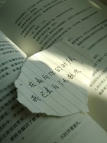 爱的追光