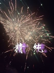 精纯