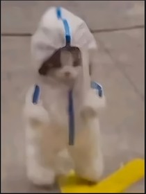 就不取名字