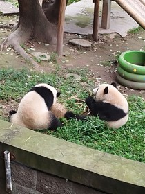 进入修仙界后我摆烂了