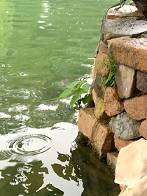 墨韻江南