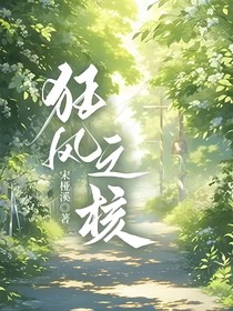 狂风之核