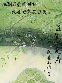 盗笔：无序