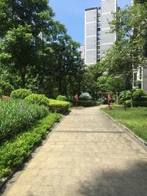 流年暗渡