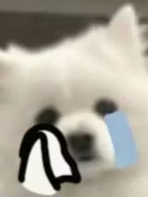 明恋难隐