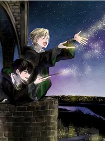 思蝎：森林里的两条路