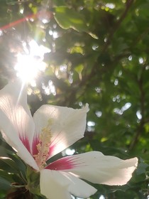 我与山河落月