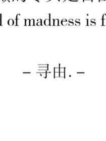 小说选文