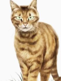 猫武士之暗河泛滥