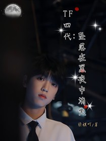TF四代：坠落在黑夜中消失