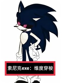 索尼克exe：维度穿梭