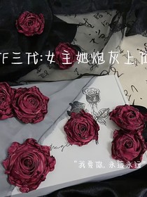 TF三代：女主她炮灰上位