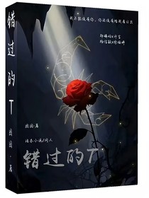错过的T