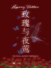 HP：玫瑰与夜莺