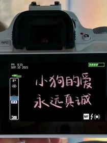 小狗永远爱你