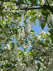 盛夏埋藏