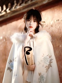 汉宫秋月（秦月笙）