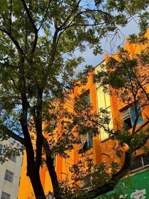 代号鸢：all广恋爱实录