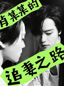 肖某某的追妻之路