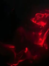 阿狸与阿蘅