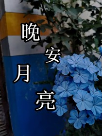 晚安月亮