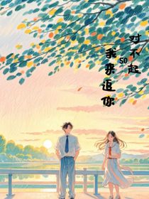 對不起，SO，我來追你