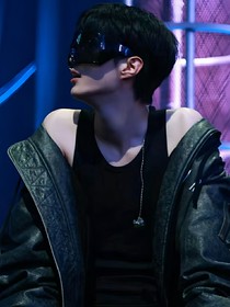 全明星：非公开图鉴