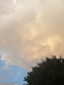 叶罗丽（生息）