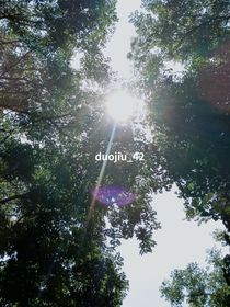 不想让你走