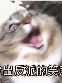 幻想进行刻