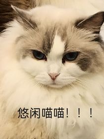 我是人机